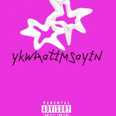 ykwhatimsayin