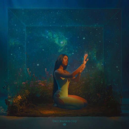 新品未開封AMBER MARK / Three Dimensions Deep 61s2JueGLQL._UF1000,1000_QL80_.jpg