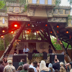 Max Nammert b2b Doepp at Wurzelfestival / Zurück zu den Wurzeln Märchenwald 2025