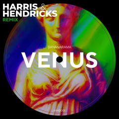 BANANARAMA - VENUS (HARRIS & HENDRICKS REMIX)