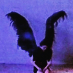 Real - nawfside_e