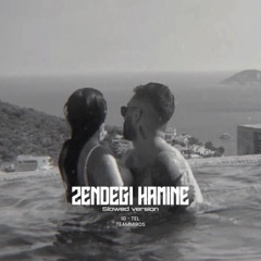 ZENDEGI HAMINE - SLOWED VERSION