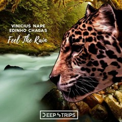 Edinho Chagas, Vinicius Nape - Feel The Rain (Original Mix)| ★OUT NOW★