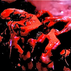 WARCRIMES W/AK KILL’EM (prod. triplesixdelete)