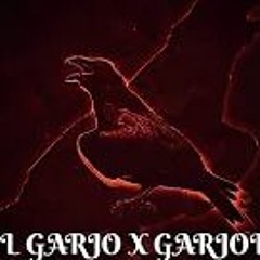 lil Garjo x Garjoka - Намордник