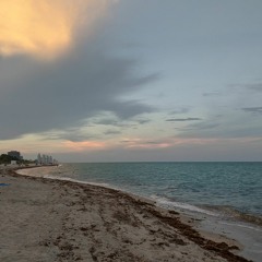 Miami Vices - Vol. 4 Ode to 601