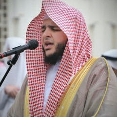 إنَّ رَبَّنَا لَغَفُورٌ شَكُورٌ || الشيخ محمد عبادة || مسجد الشيخ زايد عجمان || رمضان 1446هـ - 2025م