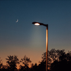 On a Summer Night