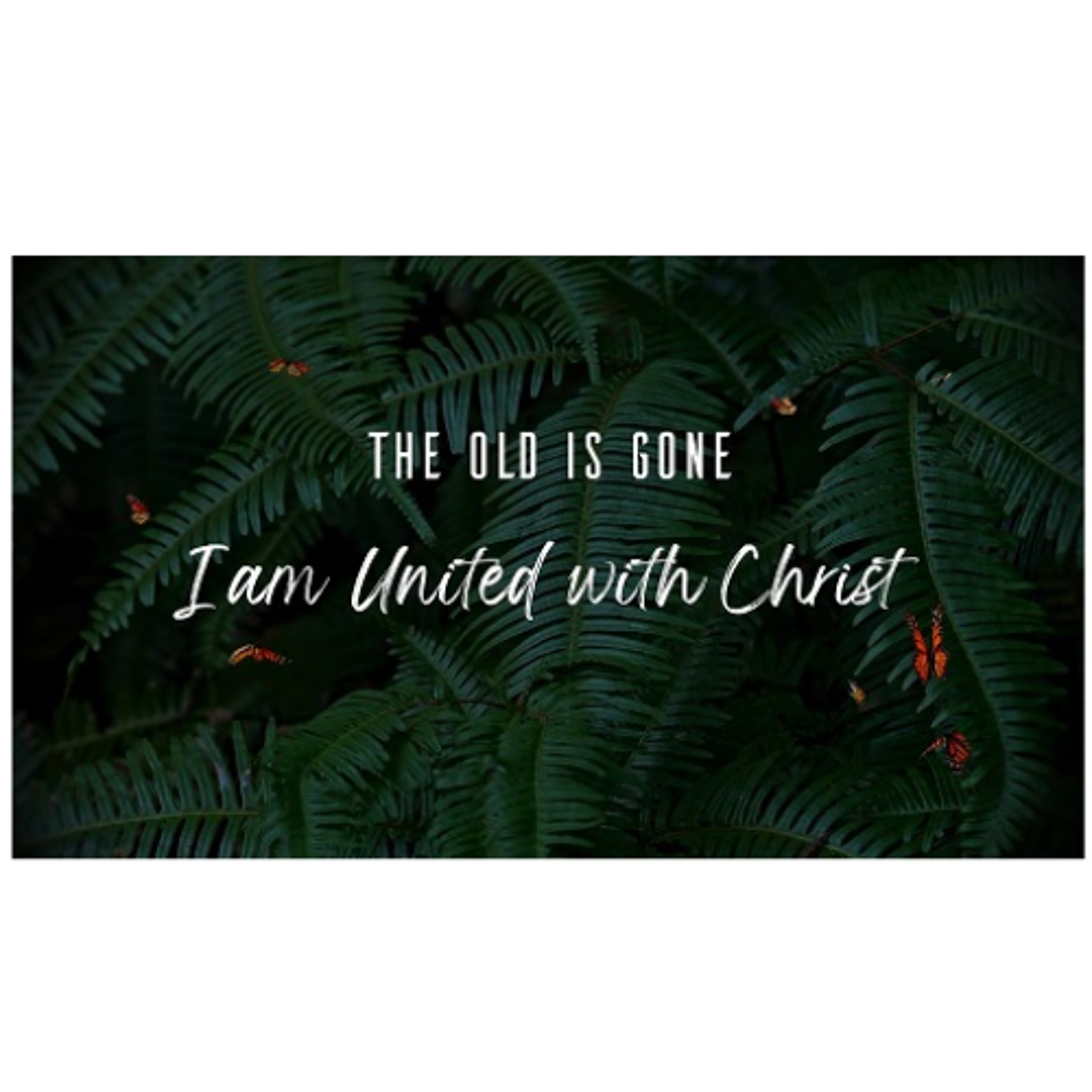 The Old Has Gone | United With Christ (Sermon) episode artwork