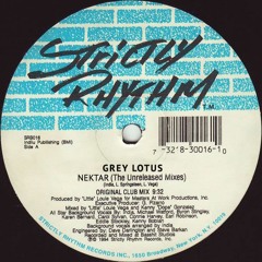 Grey Lotus - Joshua (Pels 90s house remix)