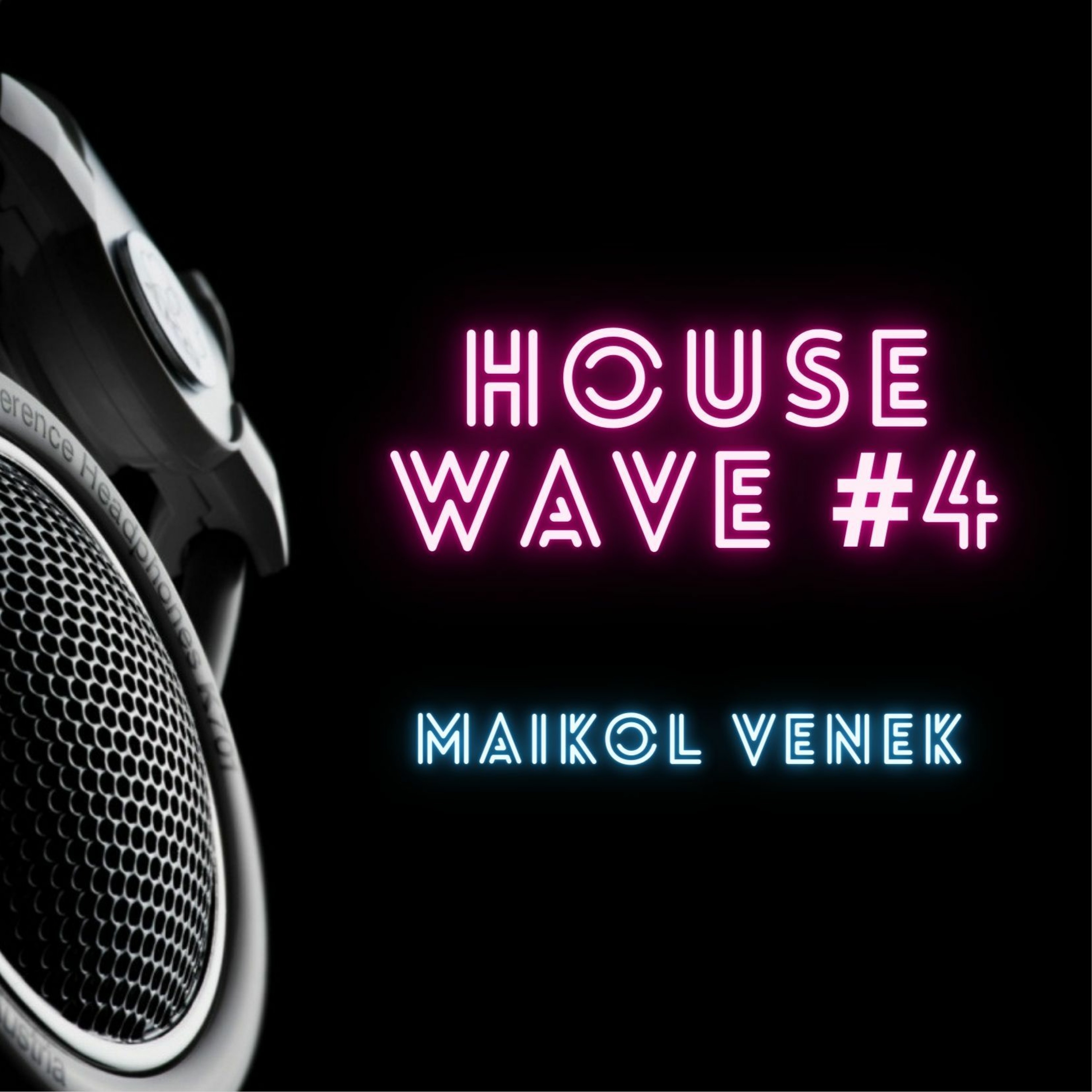 ★ Maikol Venek ★