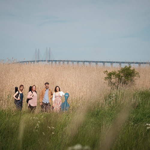 Joseph Martin Kraus: String Quartet in G Major, VB 187: II. Scozzese