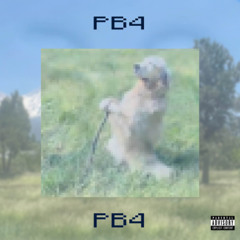 clairo interlude (ft. Green!)