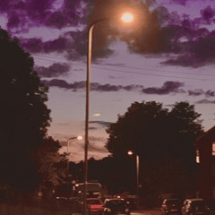 persian rug (prod. 4103)