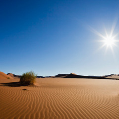 BURNING SANDS