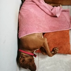 Im really sorry  girl.....I LOVE U SO MUCH