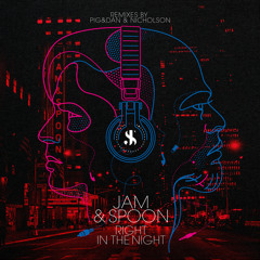 Right In The Night (Nicholson Extended Remix) [feat. Plavka]