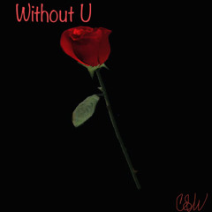 Without U (Demo)