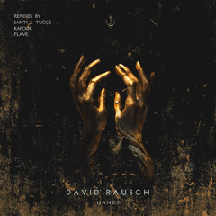 Premiere: David Rausch - Hands (Santi & Tuğçe Remix) [MONADA]