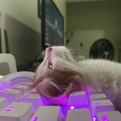 not well ᶻ 𝗓 𐰁๋࣭ prod. kidu