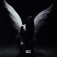 halcyon w/ CXSMPX