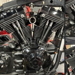 whoop_whoop_wonderland_710468ef-ba78-44de-8773-5a6c9eacb4c7.mp3