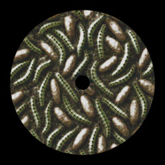 Hamdi - Caterpillar [BALESTRA Edit]