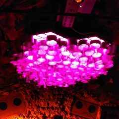 Sied b2b Neros @Cave54 Heidelberg