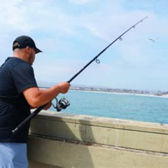 Review Special Price 2-Hour San Diego Pier Fishing Experience
