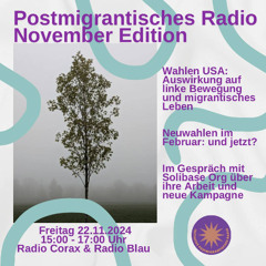 22.11.2024 Rückblick US-Wahlen & Interview mit Solibase ORG