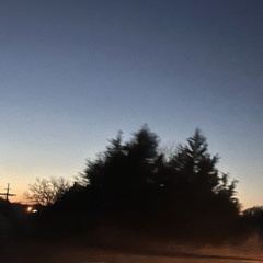 lie/love