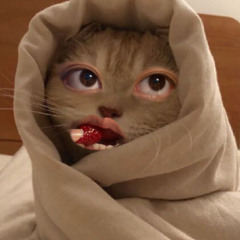 Mai cuti