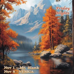 Mr. Blank - Ecstatic Dance Fairfax - 11/1/24