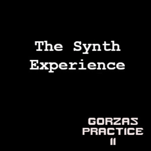 #2 Gorzas Practice @@ The Synth Experience by Gorzas
