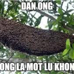 Ai là who? - Nguyễn Khờ