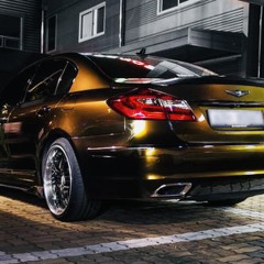 우아하게 입건 가능한 플리 [제네시스 전용, 모든 차량 감성마력 10씩 끌어올려주는 플리, 여행갈때, 오빠야 셋팅, 당신도 야타족이 될수 있다! 셋팅 완료]