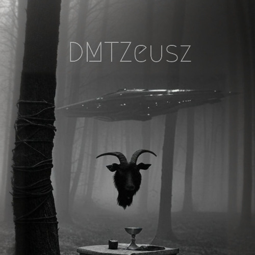DMTZeusz