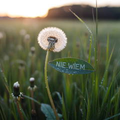 Nie wiem