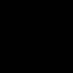Orion