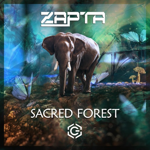 Zapta - Sacred Forest