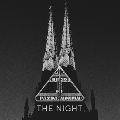 PREMIERE : Birds Of Pandaemonium - The Night (Juan MacLean Remix)
