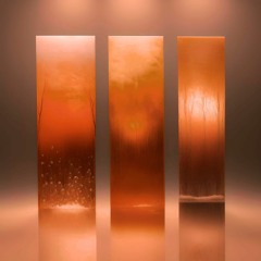 Three Frozen Preludes: 1. As In Amber, Suspended