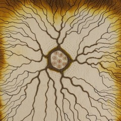 360 Journey: Texture of Experience