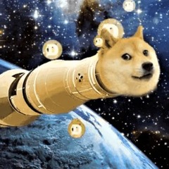 TAKE DOGE TO THE MOON