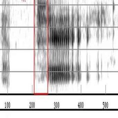 sound pattern study 2