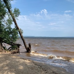 Kuznetsov - Got You Trippin (original Mix)