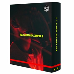 R&B 90'S CHOPPED SAMPLE PACK 2 - DEMO