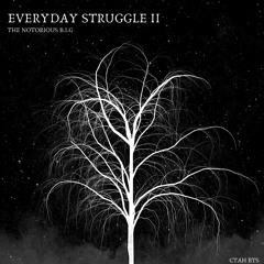 THE NOTORIOUS B.I.G - "EVERYDAY STRUGGLE II" (CTAH BTS REMIX)