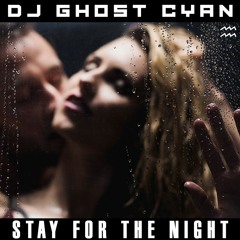 Stay For The Night (An Original)