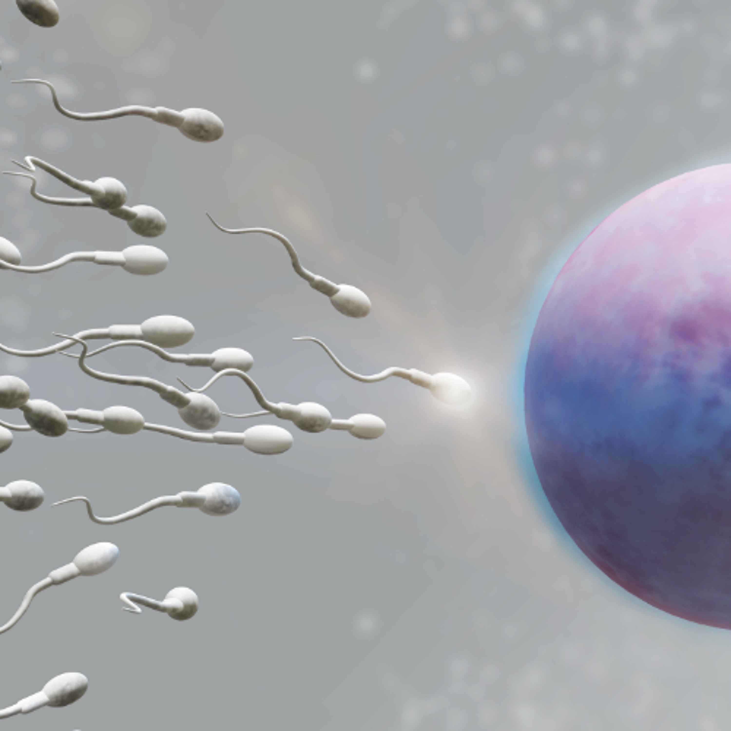 Is That Really In The Bible? 1-Men are More Than Just a Sperm Donor. By David Freeman episode artwork